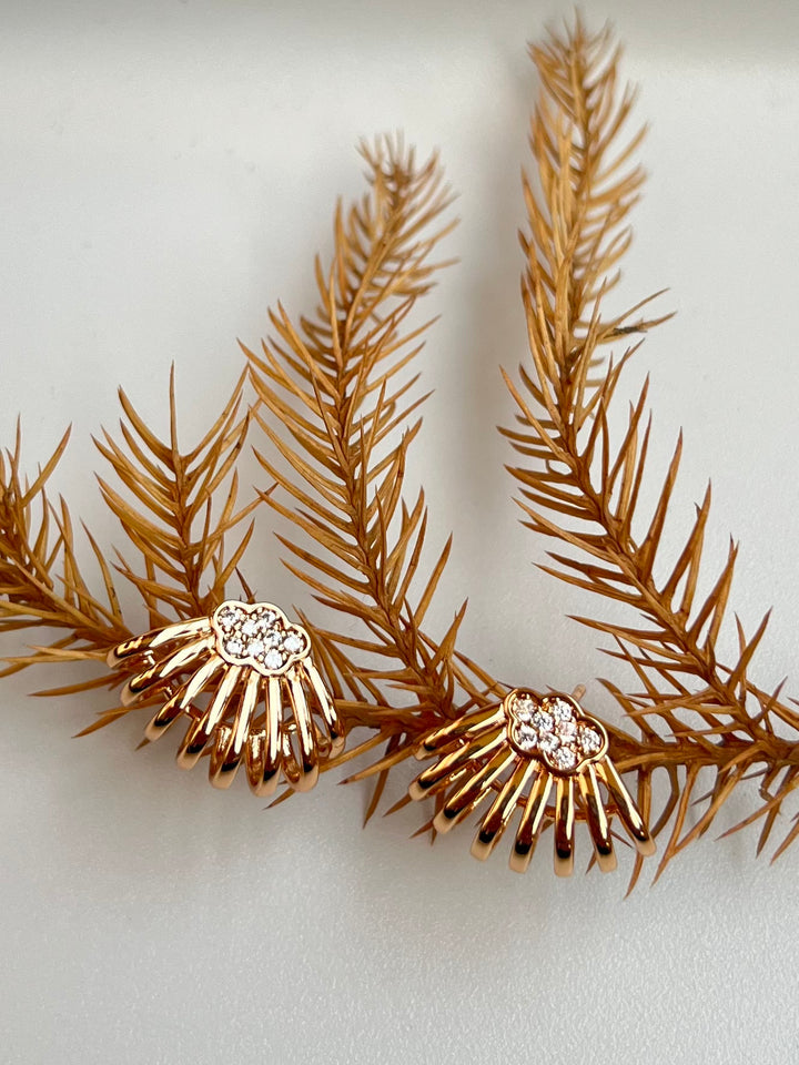 Elegant Rose Gold Winged Earrings with Crystal Accents – Designer Artificial Studs for Women